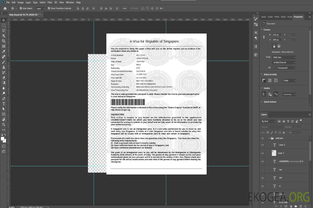 Modèle de visa électronique pour Singapour aux formats Word et PDF template